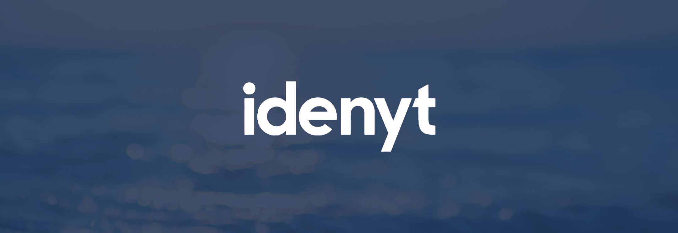 idenyt logo case